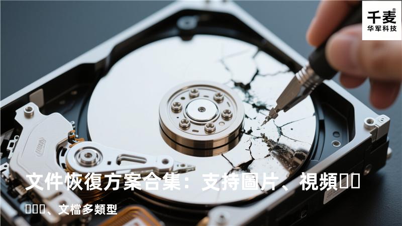 文件恢復方案合集：支持圖片、視頻、文檔多類型 